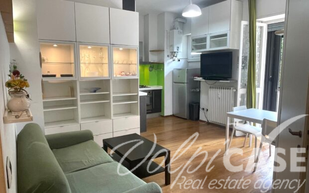 Monolocale con balcone – Zona Maggiolina
