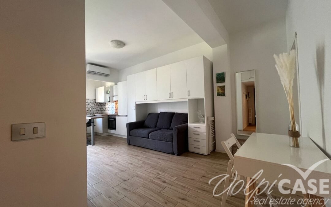 Monolocale ristrutturato, piano alto, zona M5 Istria